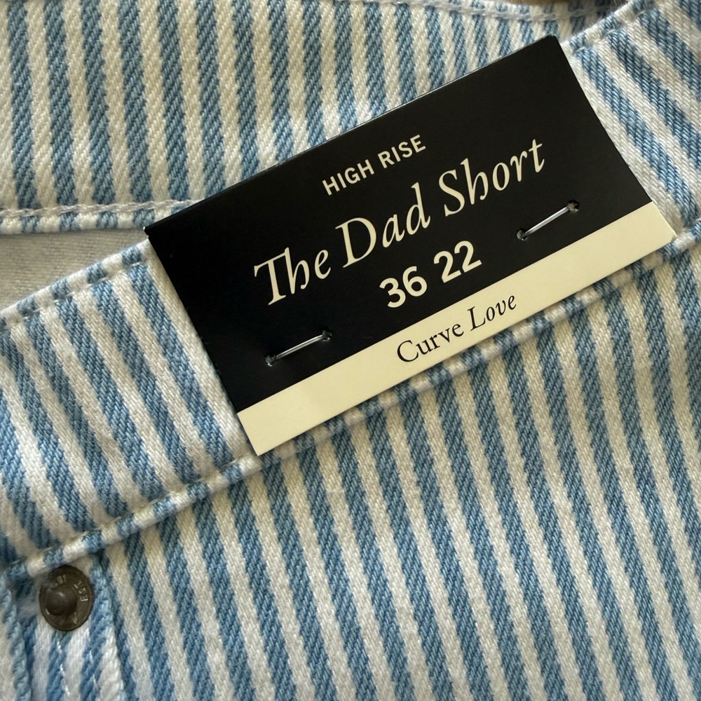 Abercrombie & Fitch Blue Striped Jean Shorts - Picture 3 of 4